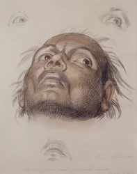 Tanulmány egy kelet-indiai fejről, 1875 körül (kréta és mosószer papíron)