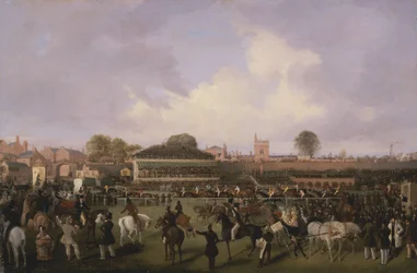 Lord Westminster bíboros Puff, Sam Darling Up, a Kereskedő Plate megnyerése, Chester