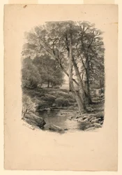 Rajz, Medence az erdőben, 1874