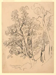 Lombozat tanulmányozása, Trachselwald, Bern, Svájc