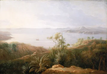 Egy öböl Új-Hollandia (Ausztrália) déli partjainál, 1802 januárjában, Matthew Flinders (1774-1814) 1801-1803 közötti, a déli területek feltérképezésére indított Investigator expedíciója során, a festő az expedíció tagja volt.