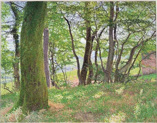 Carmarthenshire-i délután
