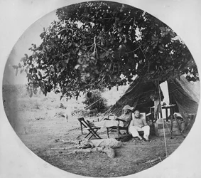 Egy forró nap az indiai dzsungelben, 1860 körül
