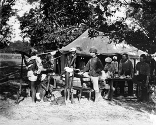 A bennszülött sikarikák egy tigrisről hoznak hírt, az 1870-es évek körül