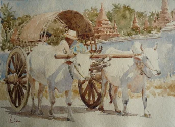 934 Bullock szekér taxi a templomok körül