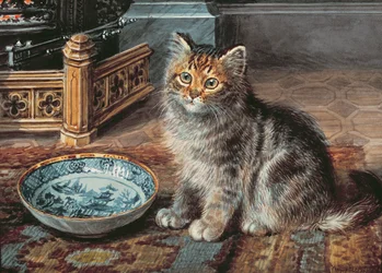 Elvárás, 1919