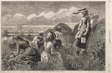 Bogyók gyűjtése, 1874.