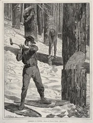 Fakitermelés télen, 1871.