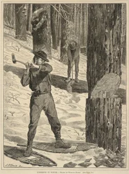 Favágás télen, a Minden szombaton: A Journal of Choice Reading, 1871. január 28.