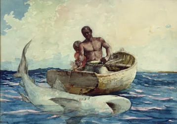 Cápahorgászat, 1885