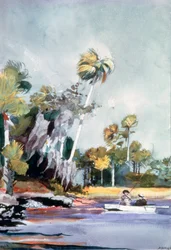 A kagylókupac, 1904
