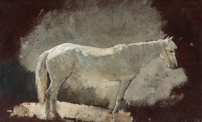 Fehér Kanca, c. 1868.