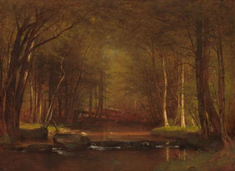 Trout Brook a Catskillsben