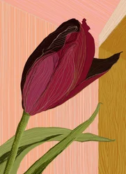 A Bíbor Tulipán Sarok