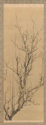 Szilvavirágok, 1851-ben.
