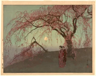Kumoi cseresznyefák (Kumoi sakura)