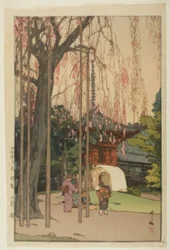 A cseresznyefa Kawagoe-ban