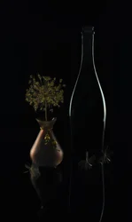 Elegáns sötét csendélet