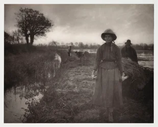 Szántóföldi gazdálkodás, „Poling The Marsh Hay” betakarítása (transport du foin des marais)