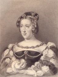 Isabella d