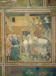 Noé vezeti az állatokat a bárkába, 1356-67 (lásd még: 59303)