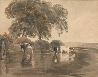 Tehenek a medencében