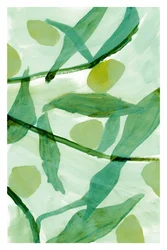 Fluid Botanical Greens